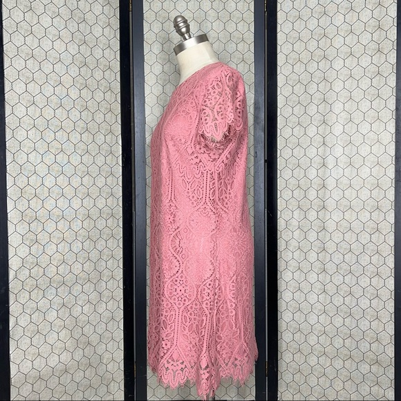 francesca’s Rose Lace Overlay Dress - Picture 2 of 12